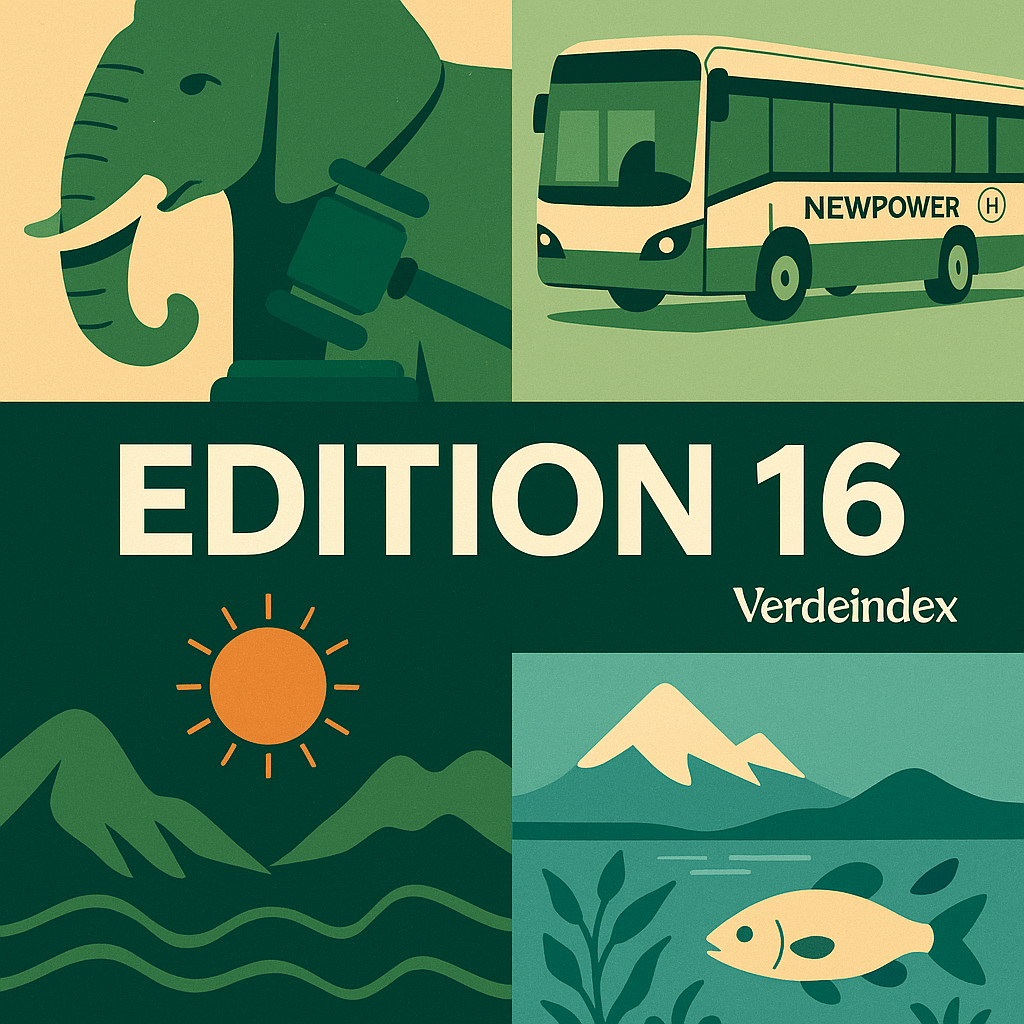 Edition 16 Cover