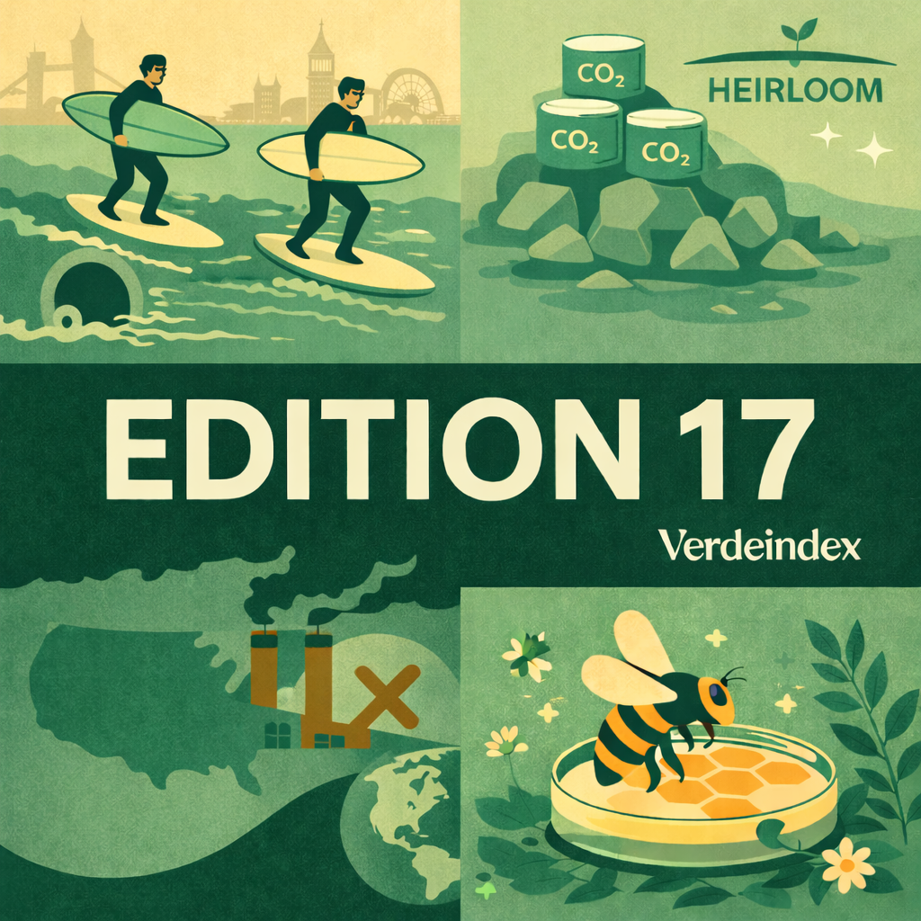 Edition 17 Cover
